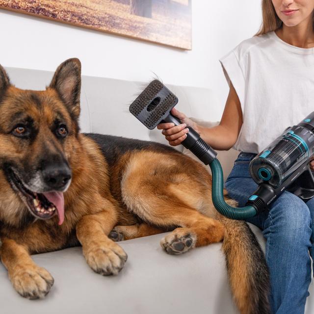 Conga Rockstar 2500 Thunder Flex Animal Aspirador escoba sin cables sin bolsa 3 en 1 con ciclón paralelo. Potencia de 400 W, 30 kPa y 122 aW. 65 minutos de autonomía.